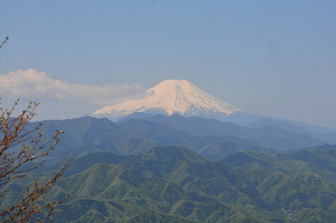 陣馬山からの富士山_2012.05.05.jpg